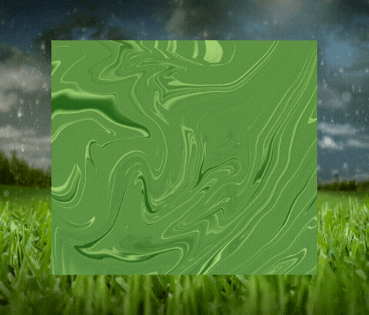 content-image-2